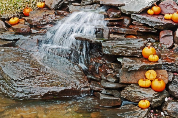 Wasserfall und Kuerbis - (c) R Plock.jpg